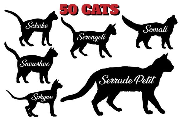50 CATS SVG Cat Silhouette Review