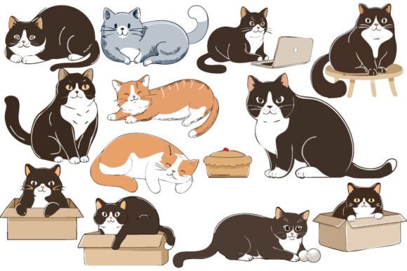 Cat Vector SVG Funny Doodle Review